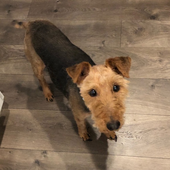 Meet your Posher, Sommer - Picture 8 of 13